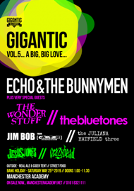 Jesus Jones Gig Poster - Gigantic All Dayer 25th May 2019